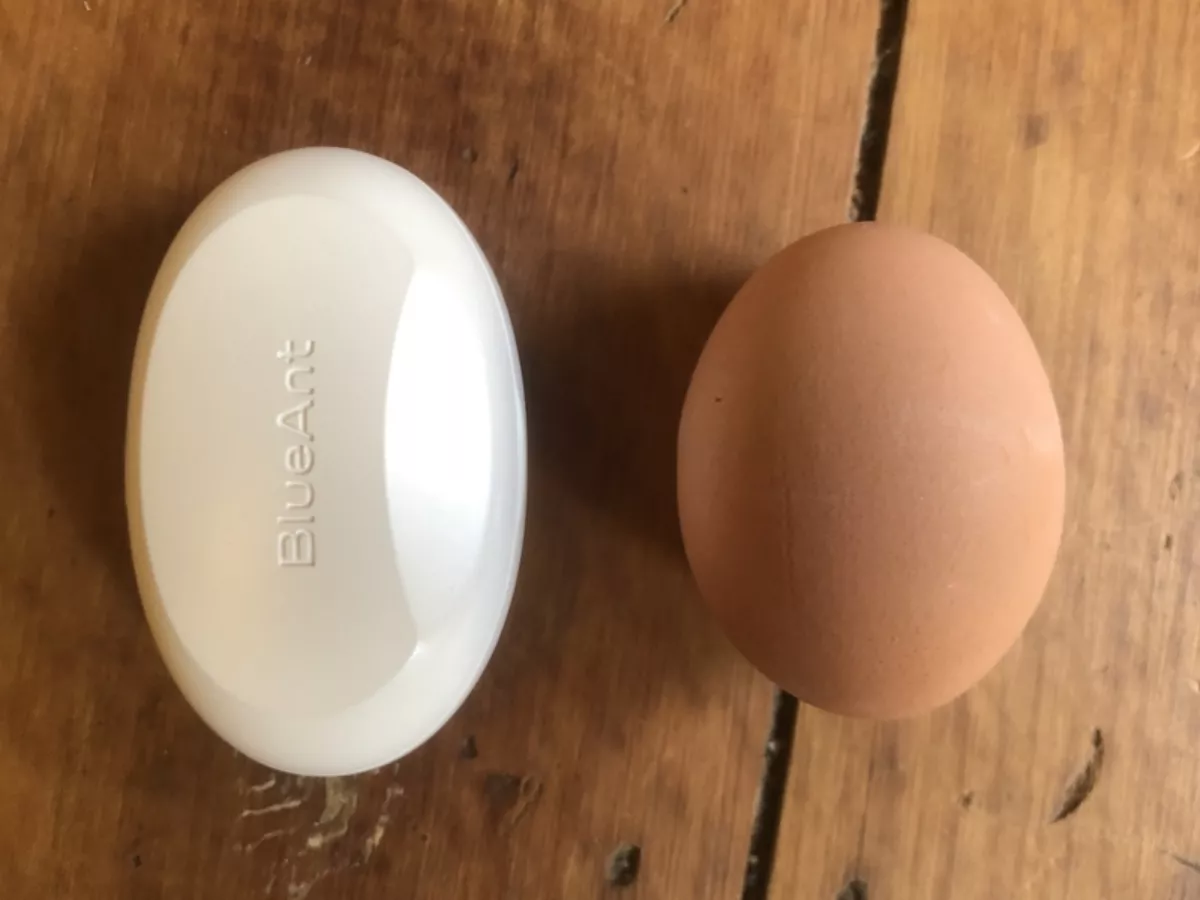 Comparison of case (left) and egg (right)