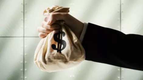 Money bags