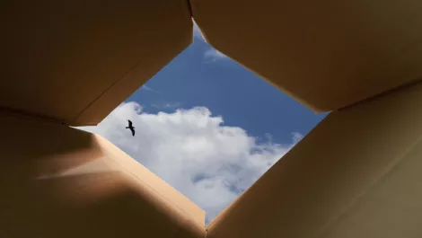 Thinkstockphotos 176221152