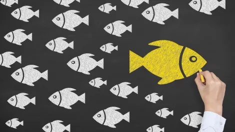 Thinkstockphotos 501089128