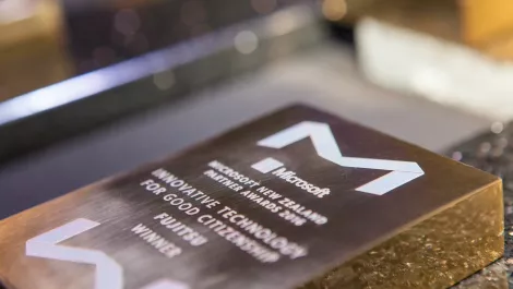 Ms partner award trophy