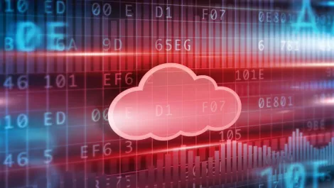 Rubicon Red on track for bumper year with three major milestones