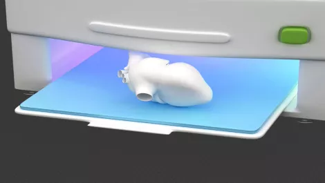 Thinkstockphotos 538792762