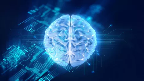 Thinkstockphotos 648459478