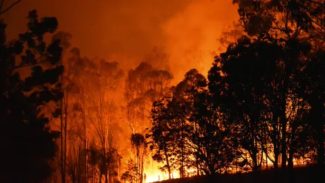 Gettyimages 1198946056