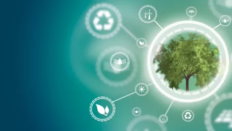 Gettyimages 1142911672