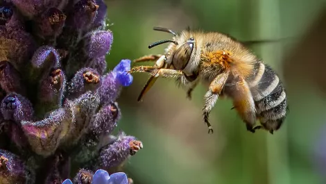 Gettyimages 1313100355