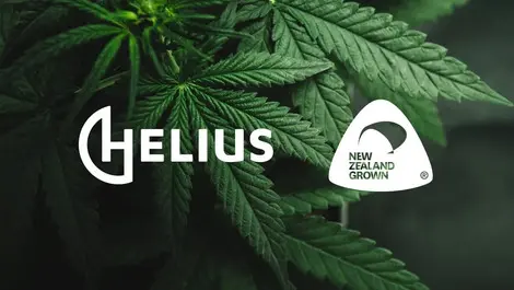 First locally grown cannabis medicines get approval