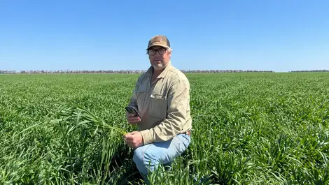 Australian farms test AI assistant to cut paperwork